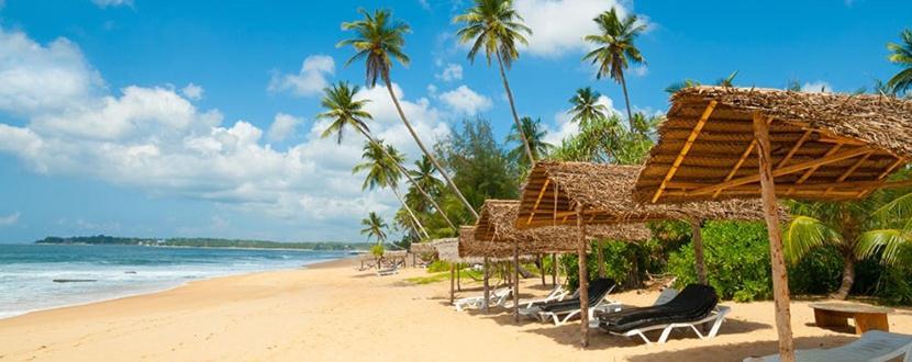 Blu Marine Nilaveli Hotel Trincomalee Exterior photo